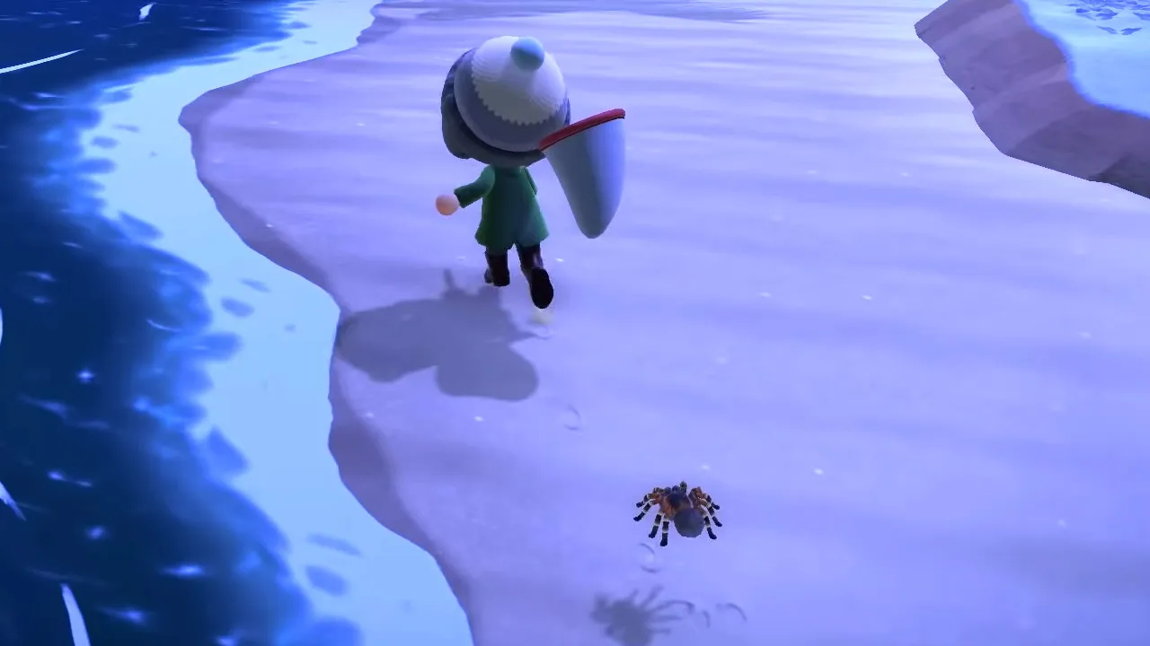 /img/16847-animal-crossing-tarantula-display.webp