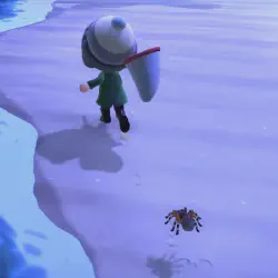 /img/16847-animal-crossing-tarantula-display.webp