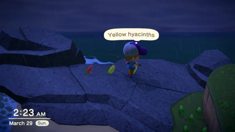 16847 animal crossing tarantula stalking