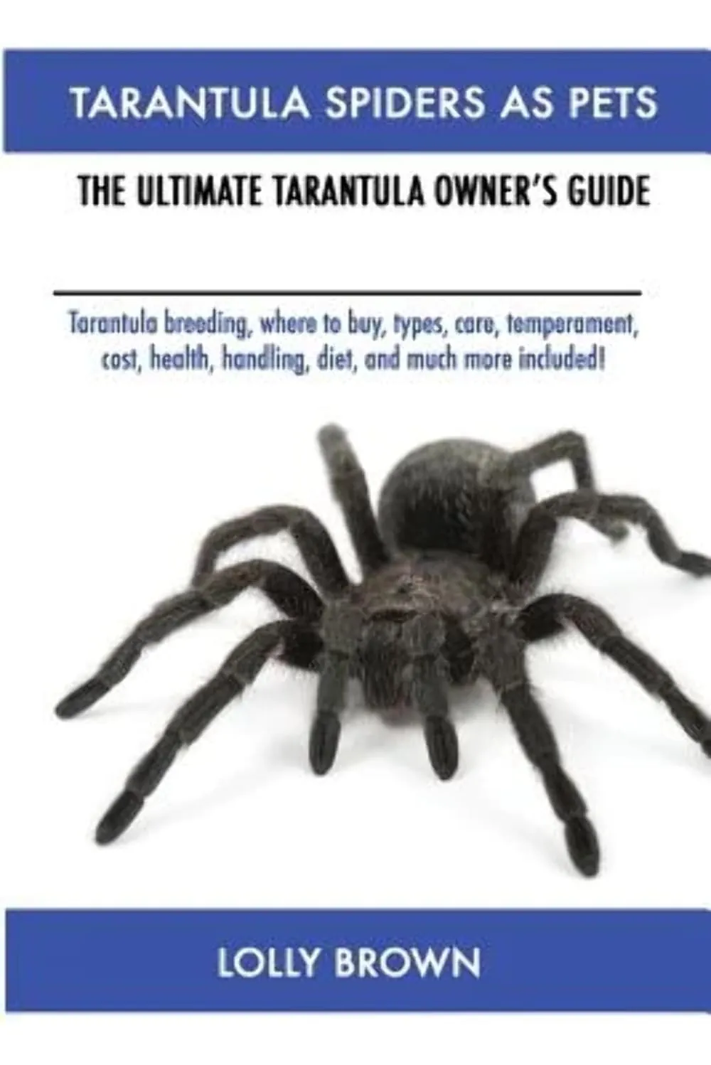 16857 tarantula seller