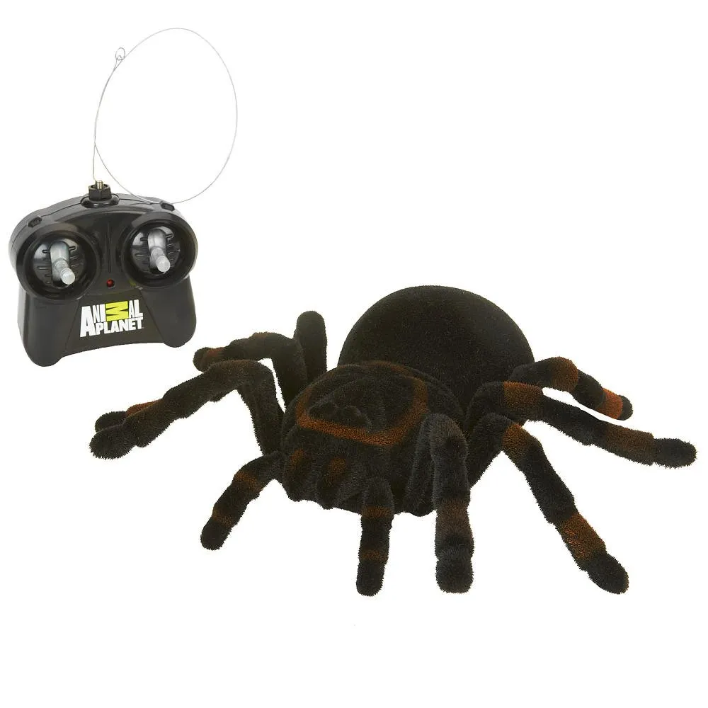 16857 tarantula shipping