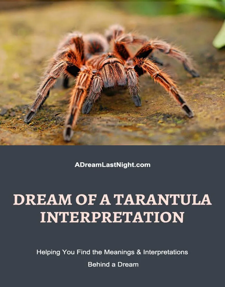 16861 creative transformation dream
