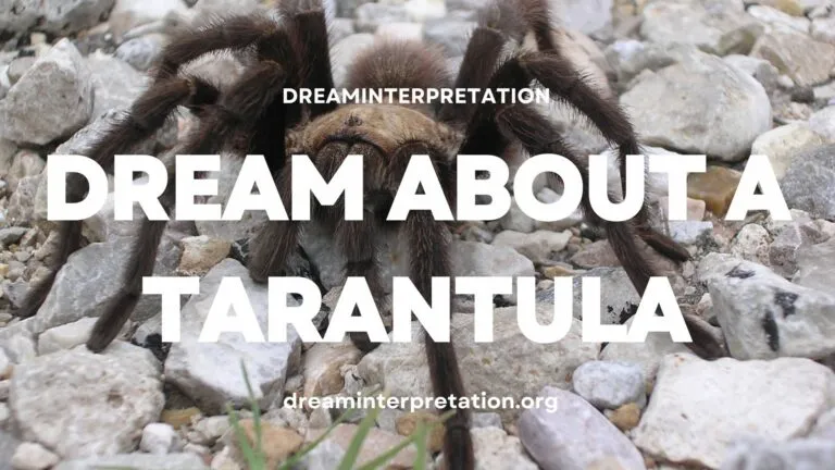 16861 protective instinct dream