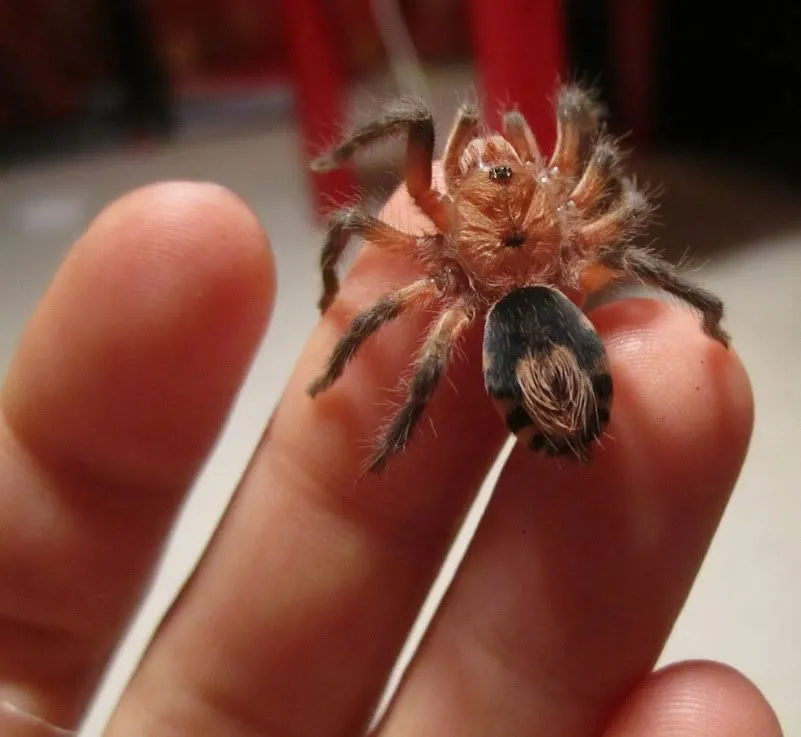/img/16864-3d-printing-beginners.webp