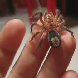 /img/16864-3d-printing-beginners.webp