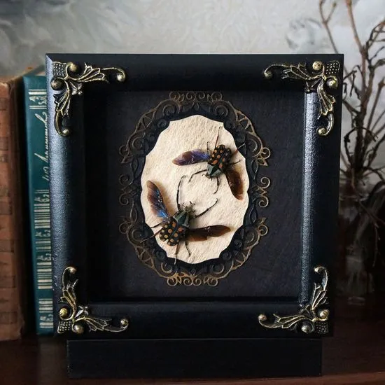 16867 tarantula mystery box guide