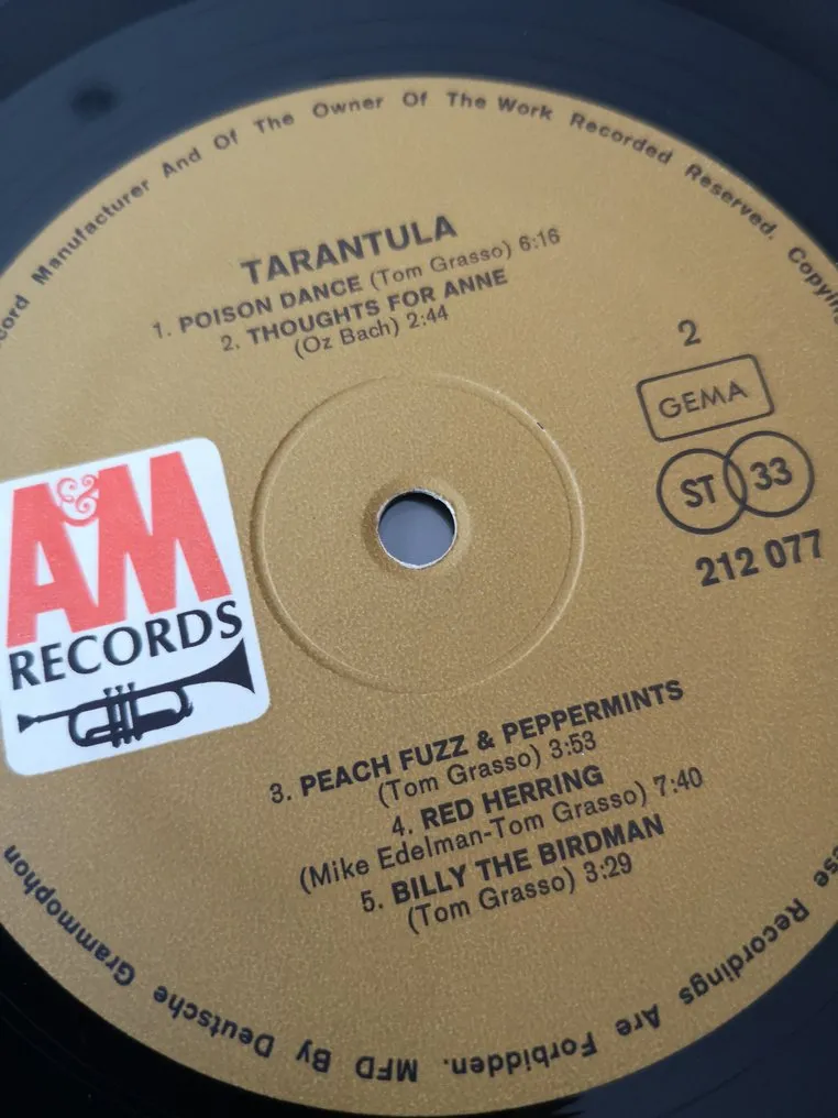 16871 tarantula song lyrics symbolism
