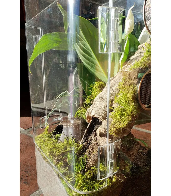 16872 tarantula enclosure australia 5
