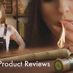 /img/16880-king-tarantula-pre-roll-deals.webp
