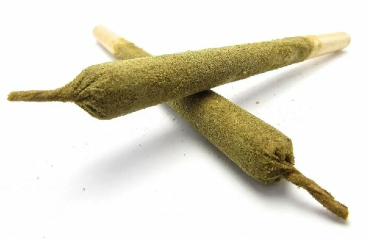 16880 king tarantula pre roll europe