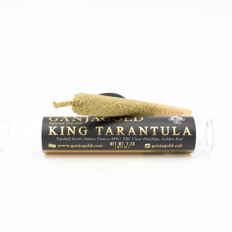 16880 king tarantula pre roll overview