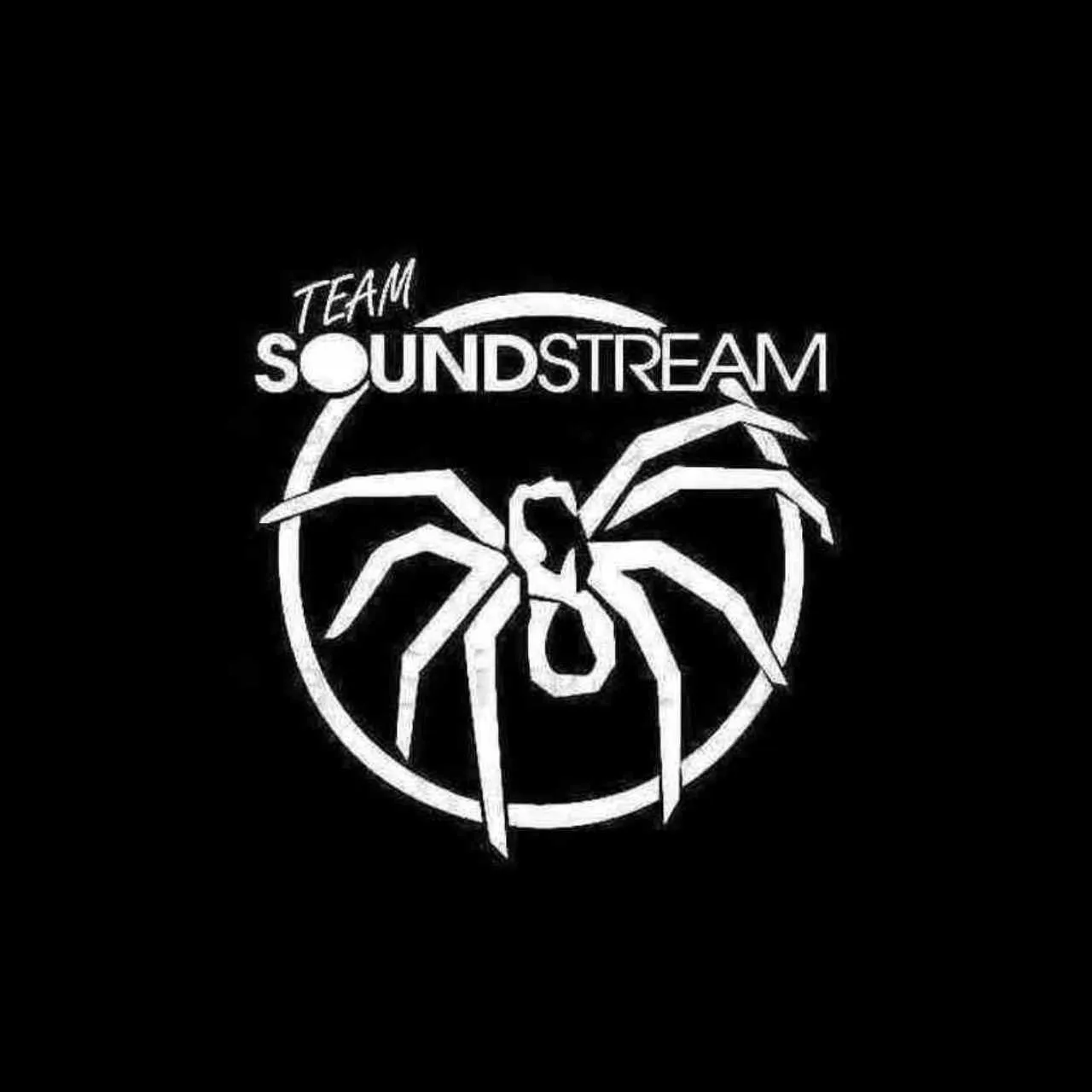 16891 soundstream tarantula 10 cone material