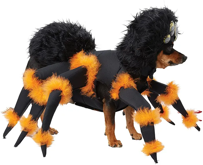 16902 comfortable tarantula dog costume