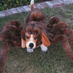 /img/16902-dog-costume-safety.webp
