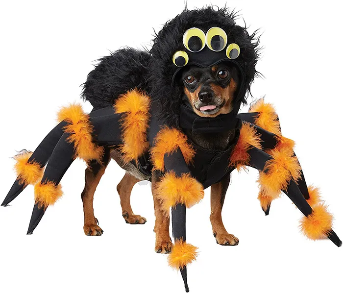 16902 realistic tarantula dog costume