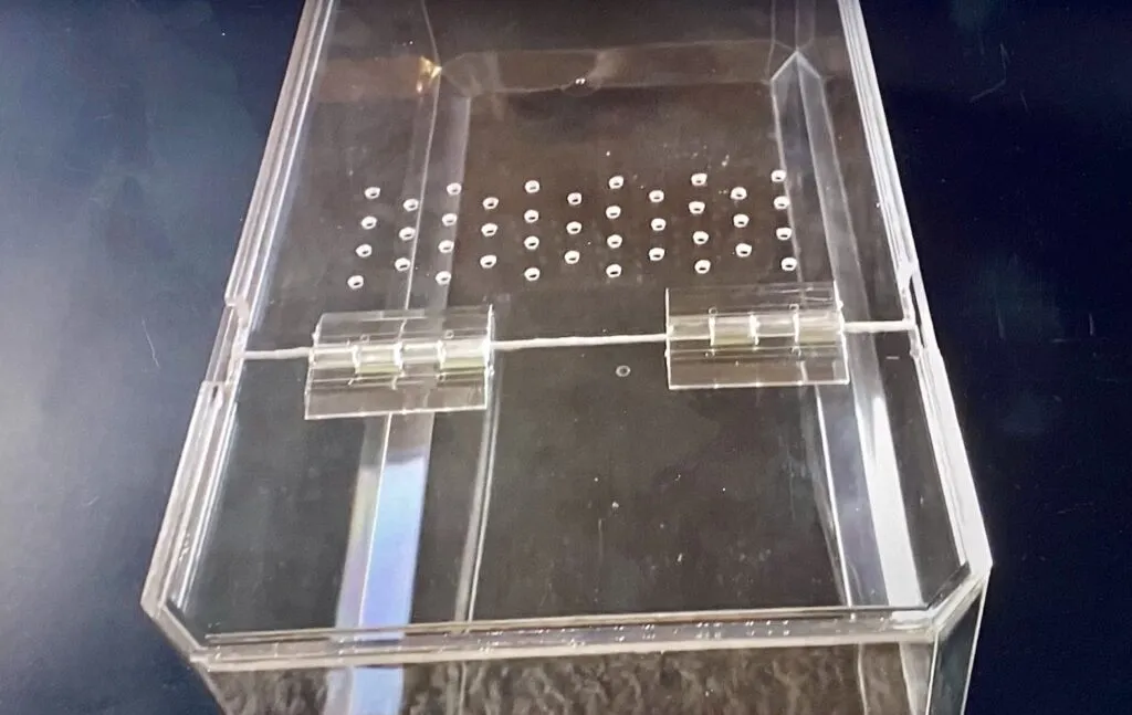 16911 tarantula enclosure ventilation 6