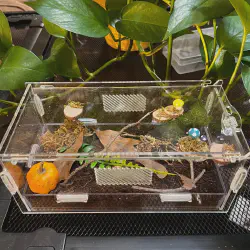 /img/16911-tarantula-enclosure-ventilation-8.webp